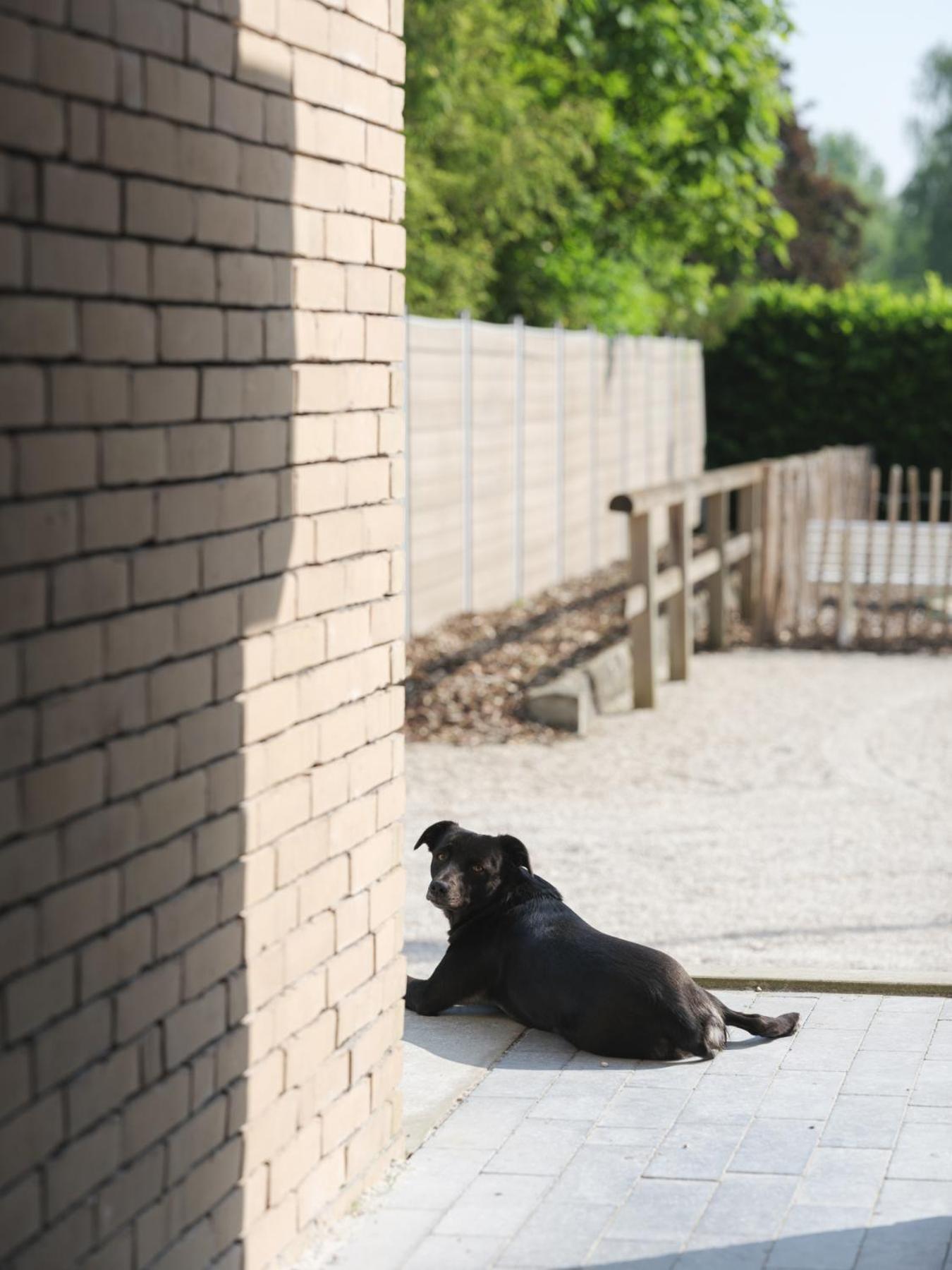 B & B St-Hubert Sint-Martens-Lennik Zewnętrze zdjęcie
